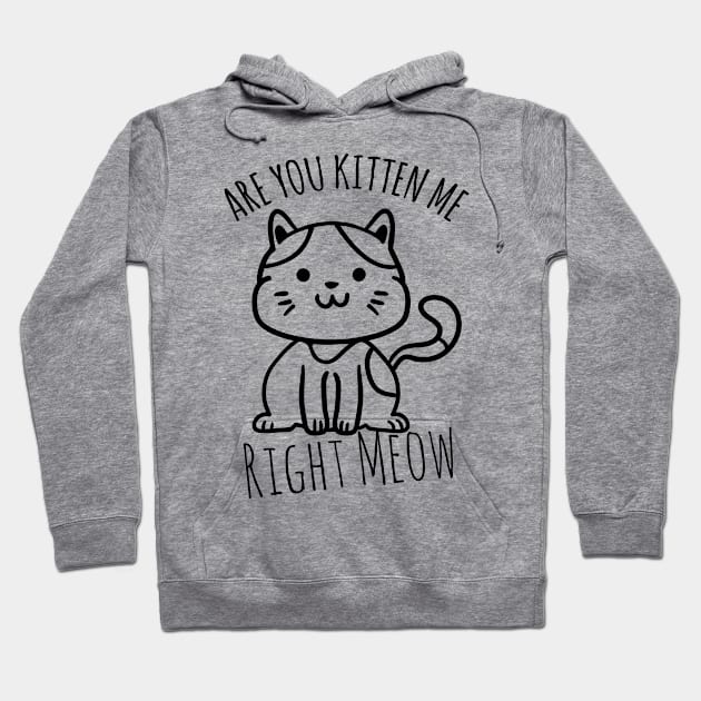 Are You Kitten Me Right Meow Hoodie by Sunil Belidon